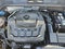 2019 Volkswagen Beetle 2.0T SE