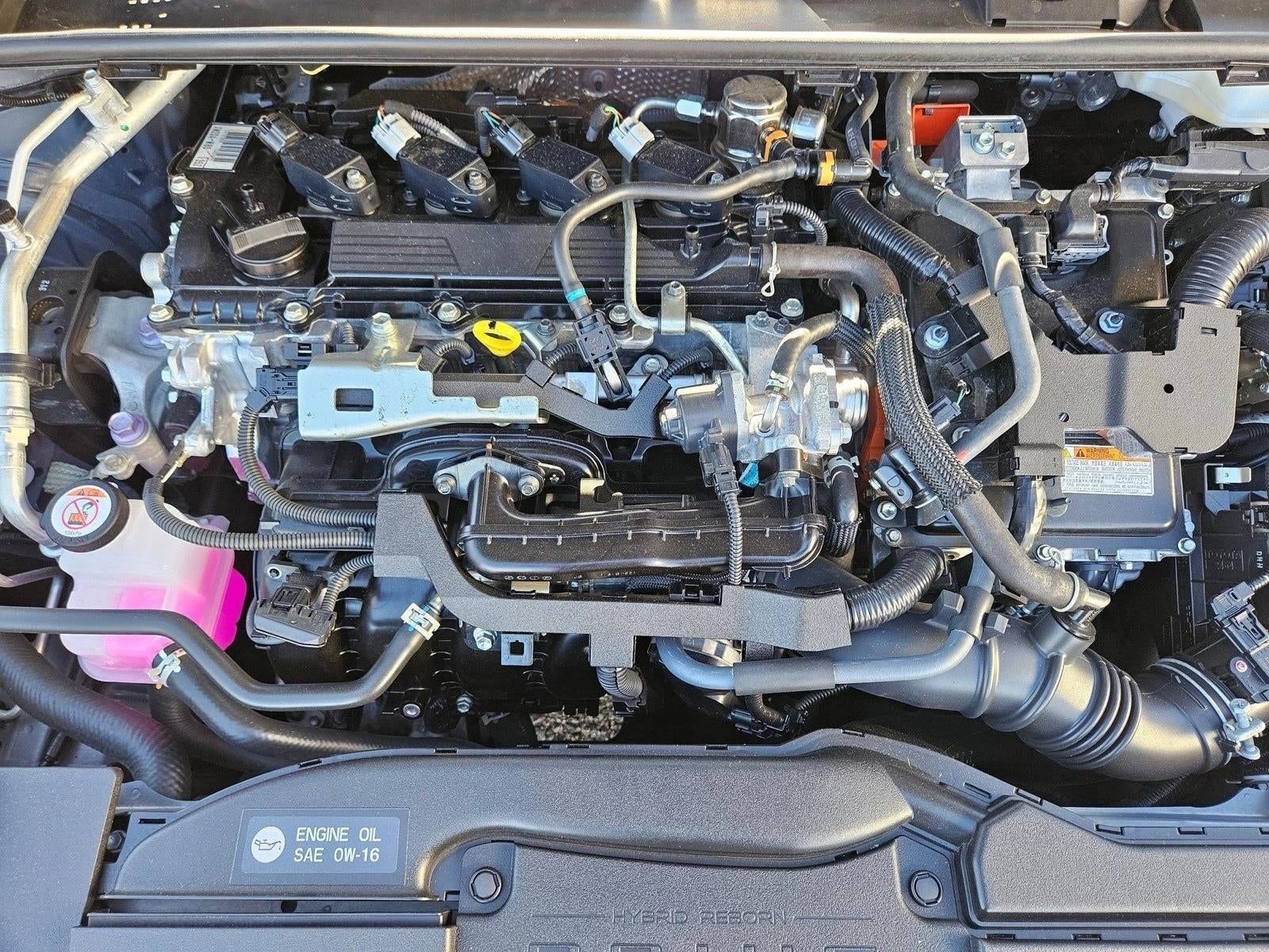 2024 Toyota Prius LE (Natl)