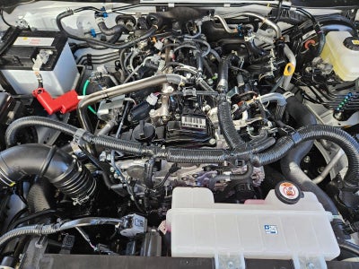 2025 Toyota 4Runner TRD Sport 4WD (Natl)