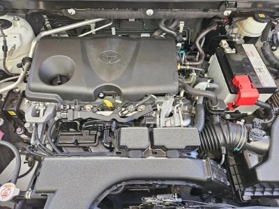 2019 Toyota RAV4 Limited AWD (GS)